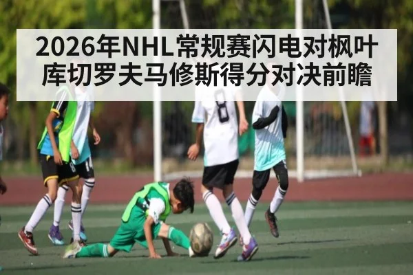 2026年NHL常规赛闪电对枫叶库切罗夫马修斯得分对决前瞻