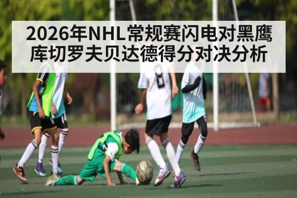2026年NHL常规赛闪电对黑鹰 库切罗夫贝达德得分对决分析 | kaiyun
